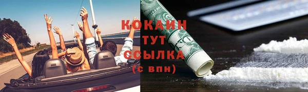 ешки Арсеньев