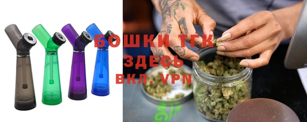 ешки Арсеньев