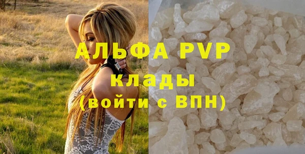 ешки Арсеньев