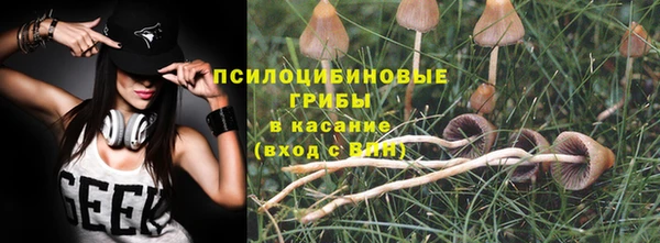 гидропоника Аркадак